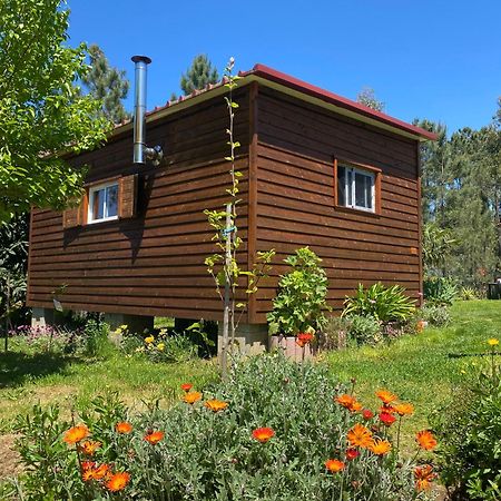 Casa Carini Villa Sertã Eksteriør bilde