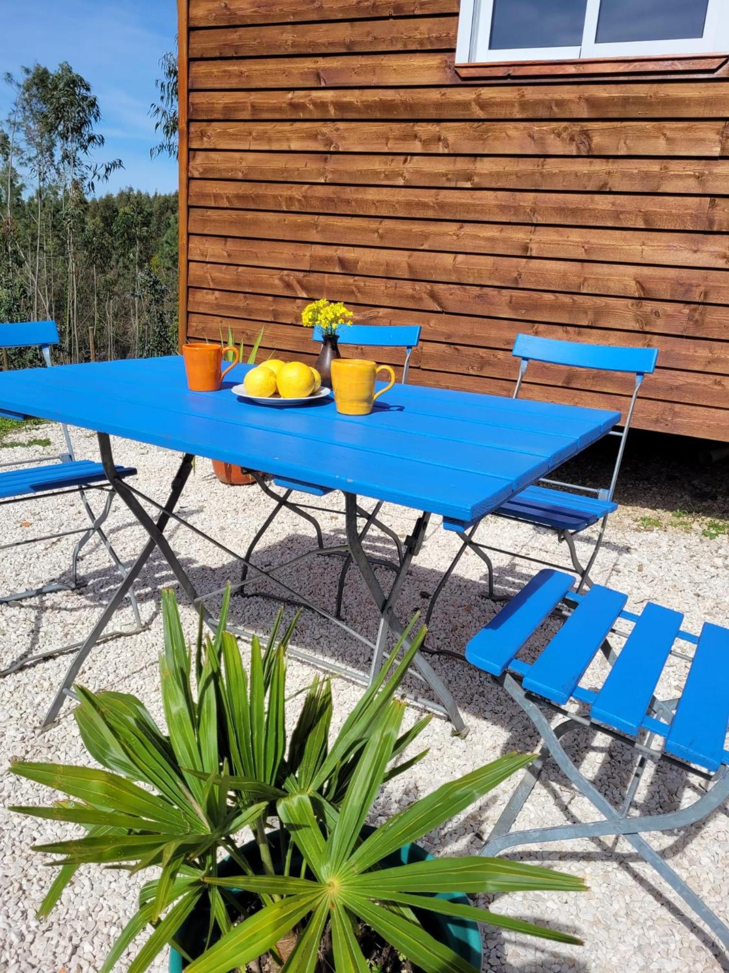 Casa Carini Villa Sertã Eksteriør bilde