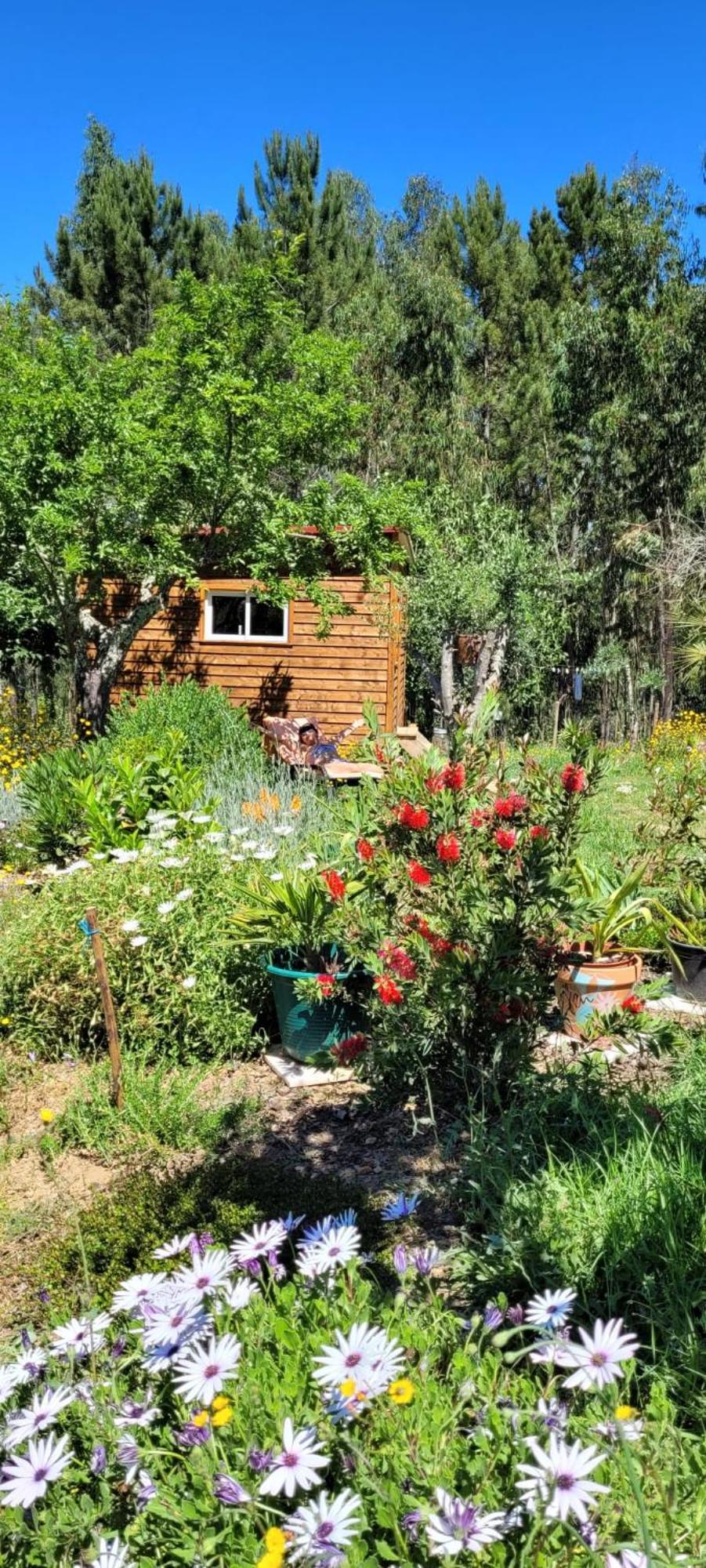 Casa Carini Villa Sertã Eksteriør bilde