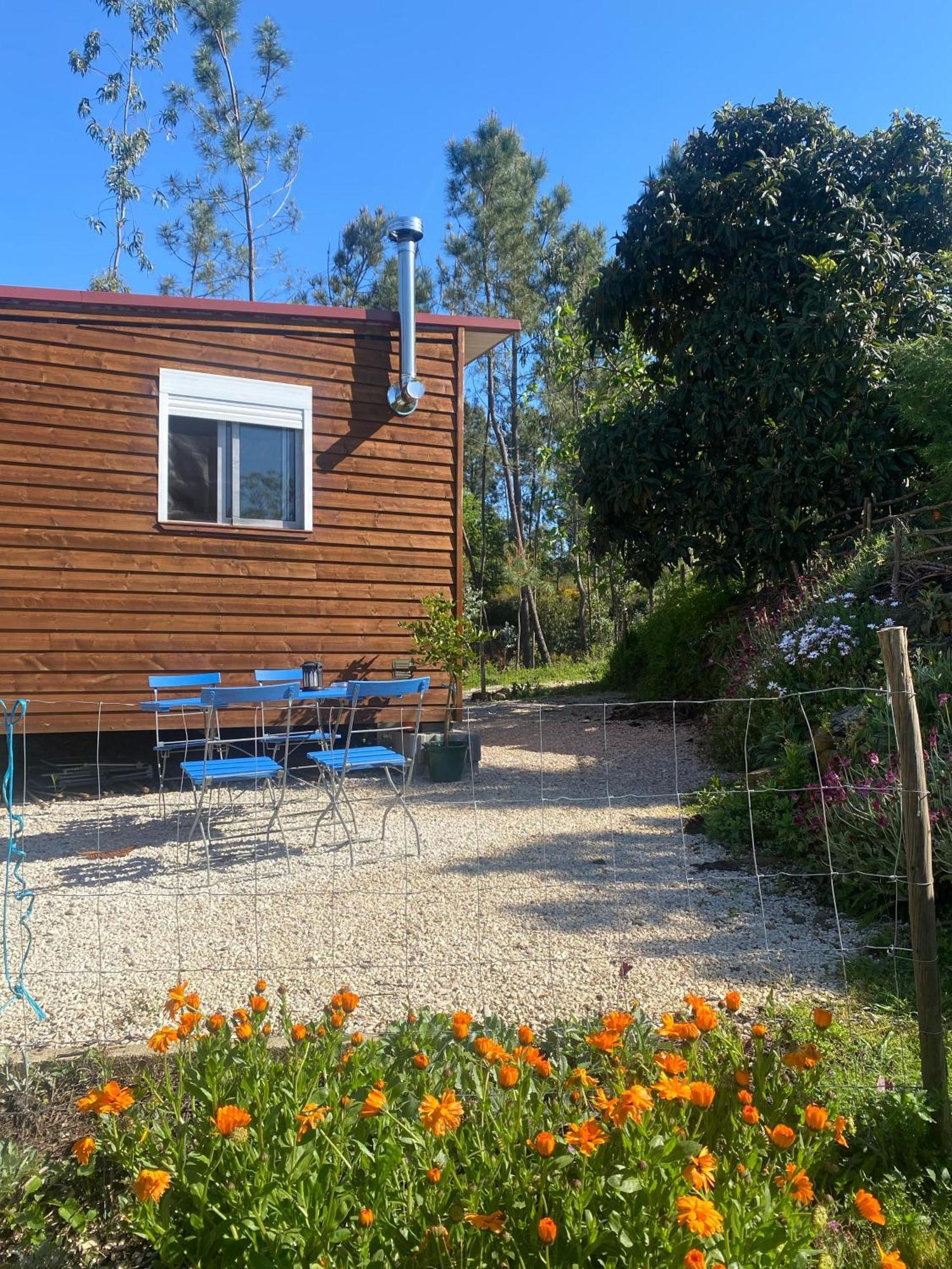 Casa Carini Villa Sertã Eksteriør bilde